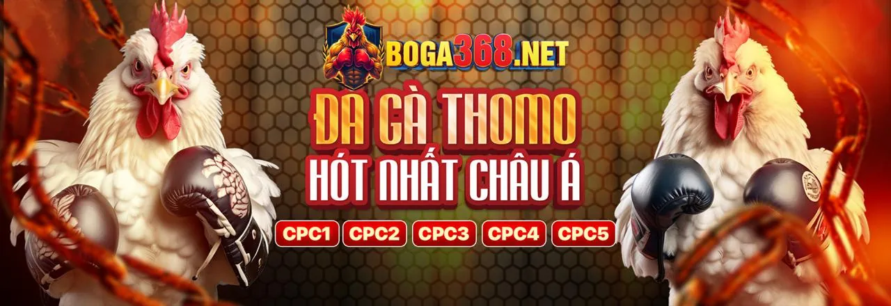 Bảo vệ dữ liệu cá nhân theo GDPR tại 58wib nhà cái